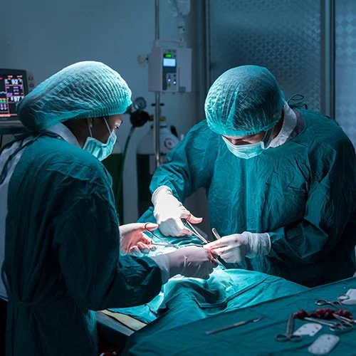 Veterinarska klinika